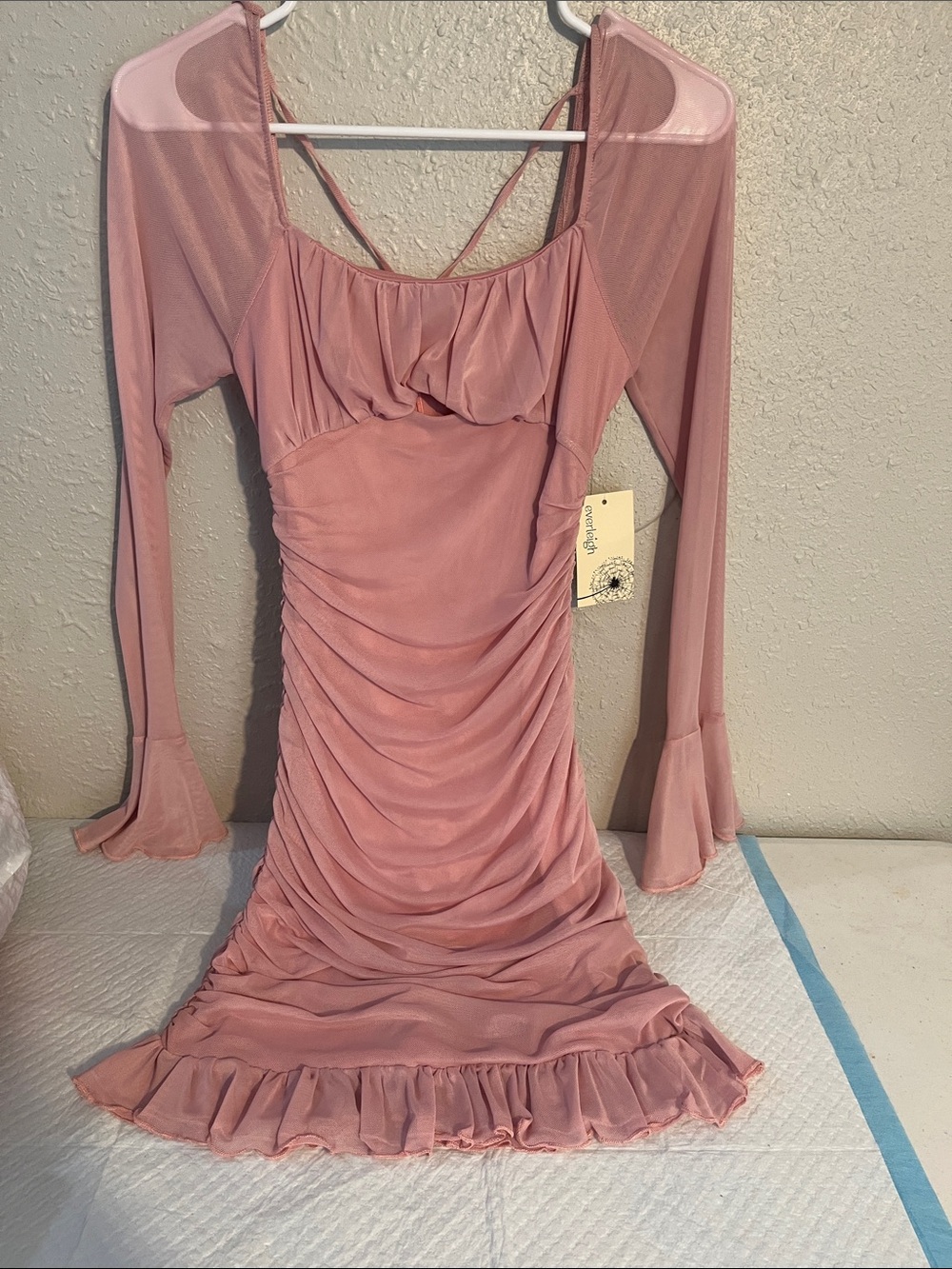 Sheer Long-Sleeve Dusty Rose Ruched Mini Dress